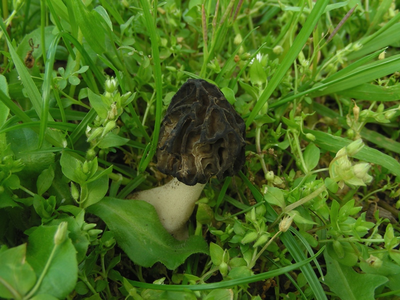 altro sopralluogo nei parchi